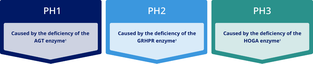 Three subtypes of PH