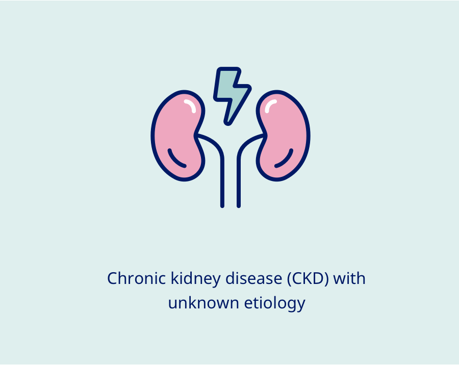 Kidney with lightning bolt icon