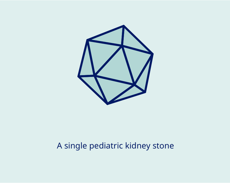 Single pediatric kidney stone diagram