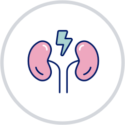 Kidney with lightning bolt icon